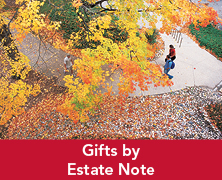 Students walking underneath a tree. Links to Gifts by Estate Note